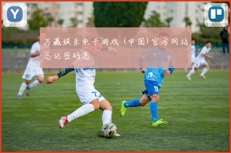万赢娱乐电子游戏 (中国)官方网站忘记密码怎