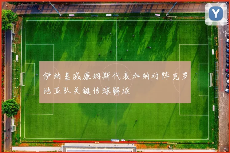 伊纳基威廉姆斯代表加纳对阵克罗地亚队关键传球解读