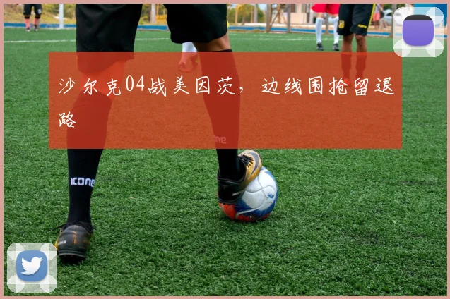 沙尔克04战美因茨，边线围抢留退路